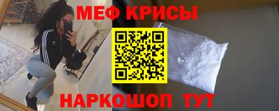 молекула духа Кингисепп