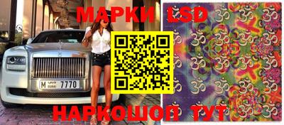 jwh Кимры