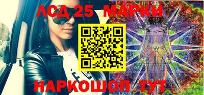 молекула духа Кингисепп
