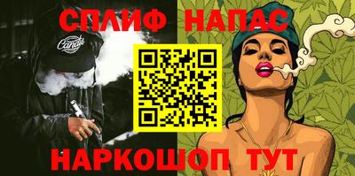 молекула духа Кингисепп