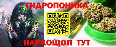 молекула духа Кингисепп