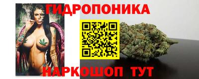 jwh Кимры