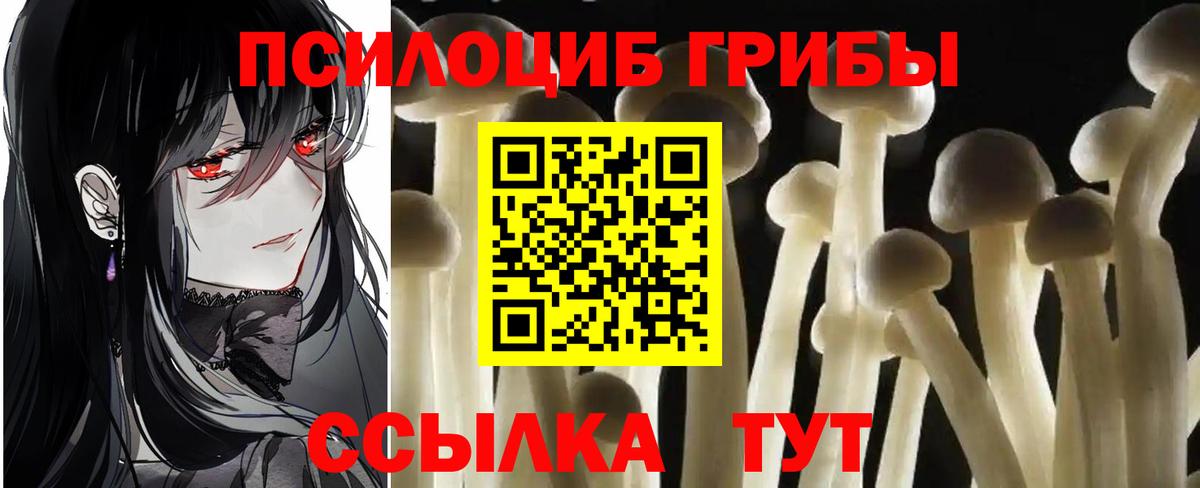 Георгиевск  Псилоцибиновые грибы прущие грибы  Псилоцибиновые грибы мицелий  Вход с VPN 